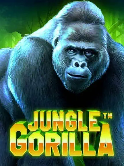 เกม Jungle Gorilla จากค่าย Pragmatic Play ทดลองฟรี เล่นได้ไม่จำกัด